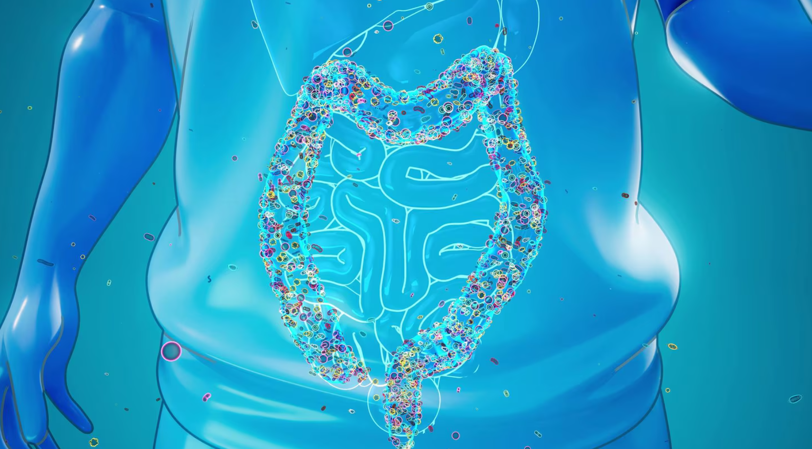 대장내시경 전 먹어도 되는음식 총정리 3일 전부터 당일까지 완벽 가이드