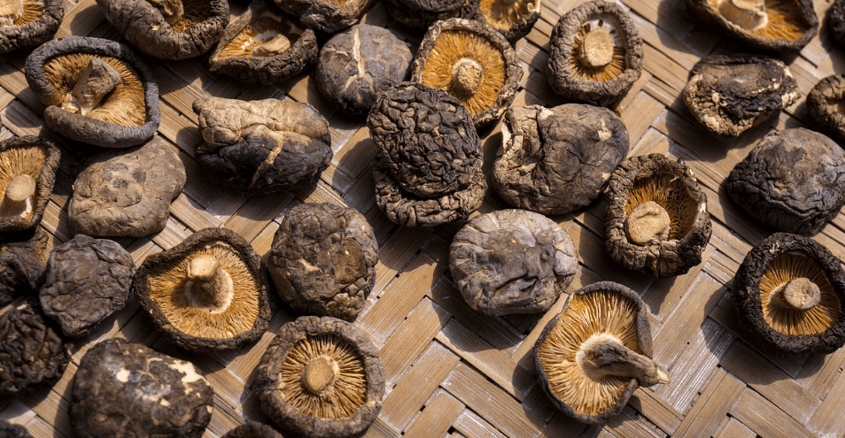 통풍에 해로운 음식 사진 - 011118