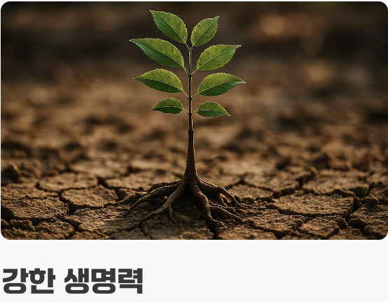 과한 사랑보다, 묵묵한 믿음으로