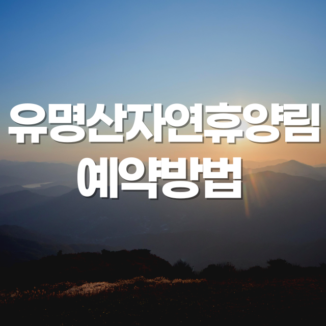 유명산자연휴양림 총정리 맛집,여행