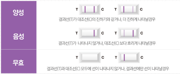 갱년기테스트기 결과 해석