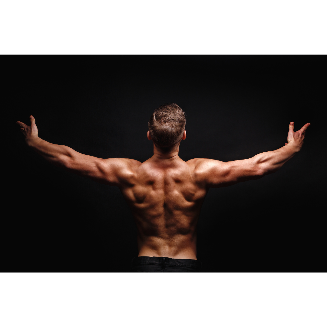 광배근스트레칭