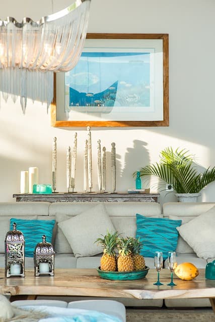 도시 속 작은 자연: 실내를 초록으로 채우는 방법