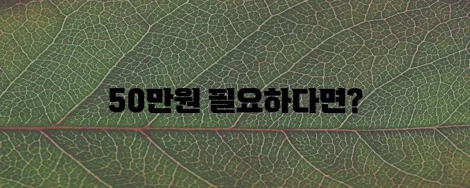 50만원 소액 대출, 지금 바로 확인해 보세요!