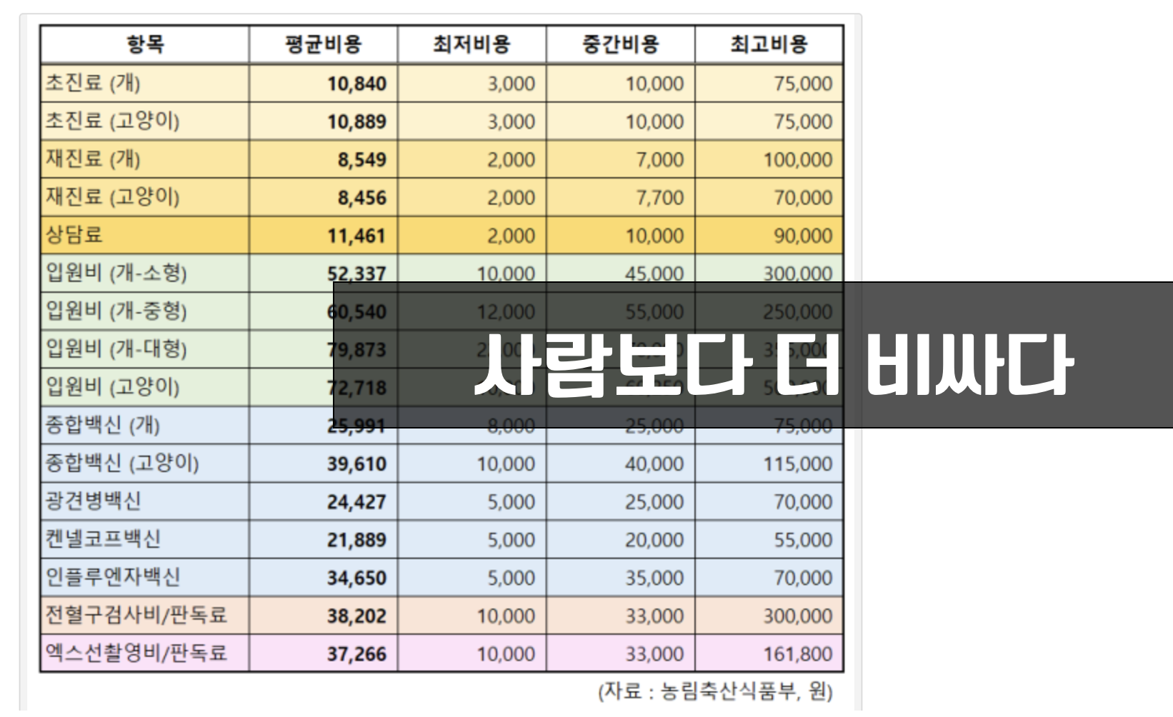 동물병원 비용