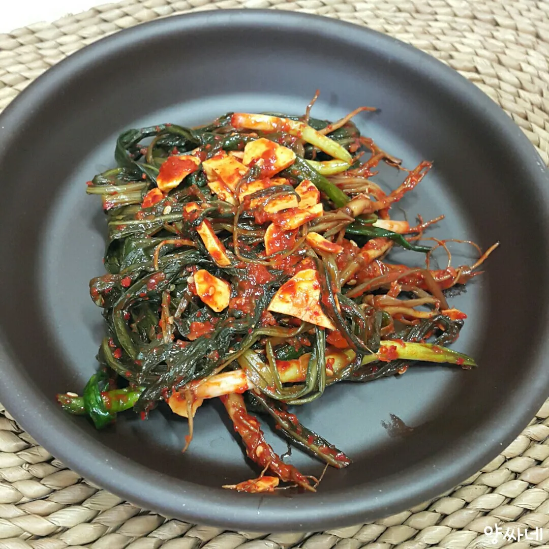 고들빼기 김치 맛나게 담는법 초보도 쉽게 따라하는 집밥 비법에 대한 절임비율_7