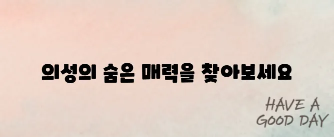 의성 가볼만한곳 베스트10