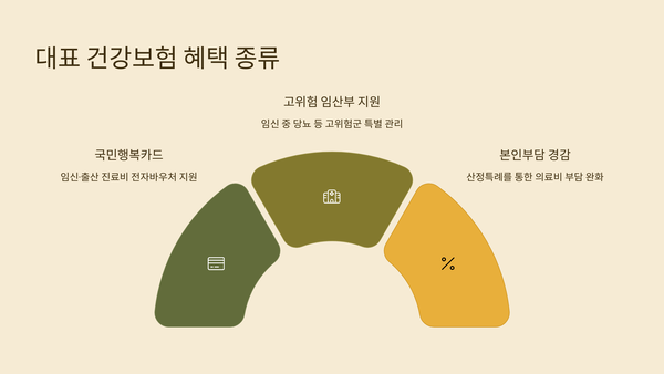 임산부 대표 건강보험 혜택 종류