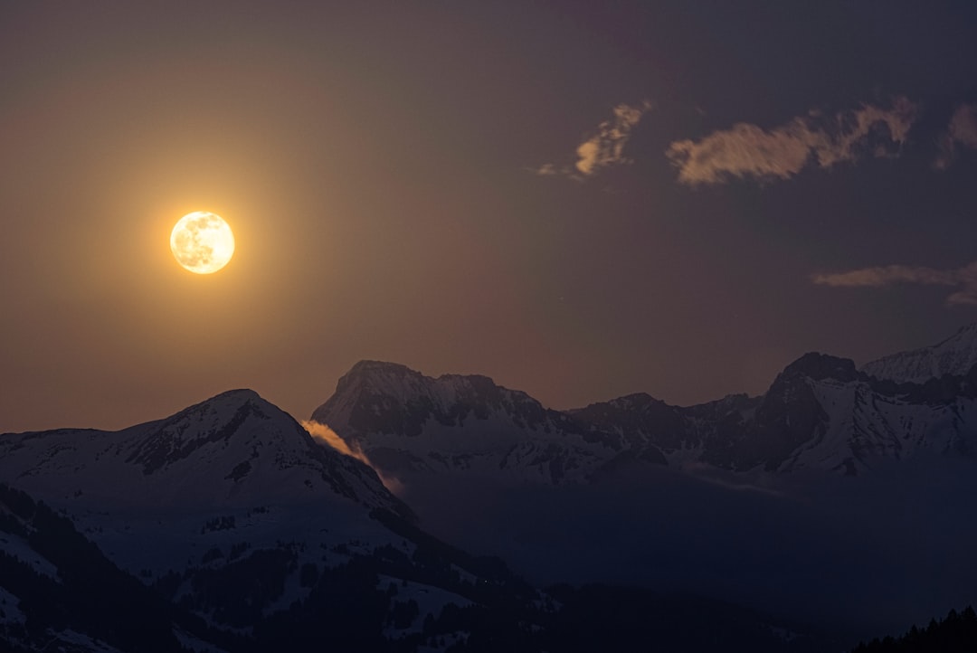 Moonlight
