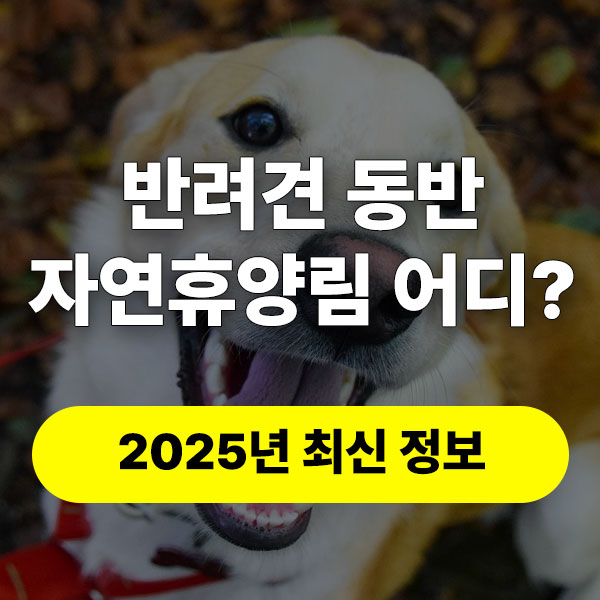 반려견 동반 자연휴양림 리스트