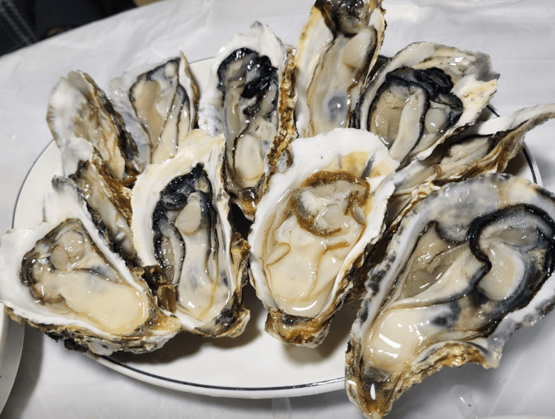 생방송투데이 과메기 경북 포항 맛집 정보