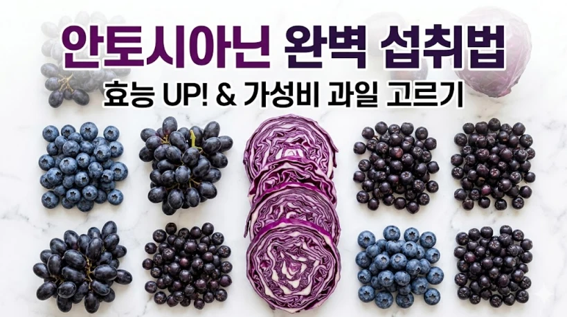 안토시아닌 완벽 섭취법과 가성비 과일 고르기 제목이 적힌 블루베리, 포도, 적양배추, 아로니아 플랫레이 썸네일