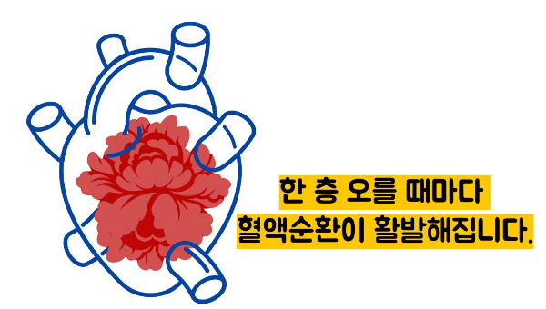 계단오르기 운동효과