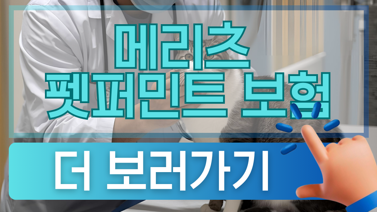 고양이보험 펫퍼민트보험