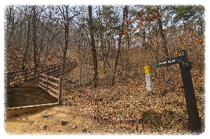 황금산