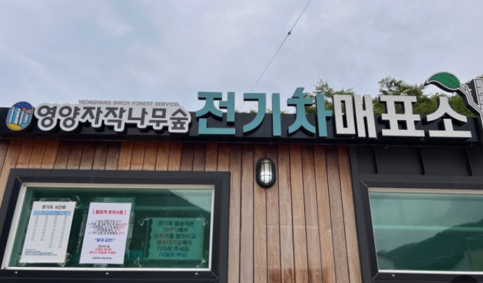 [여행기]인제보다 3배 넓은 비밀의 숲! 경북 영양 죽파리 자작나무숲 현실 방문 팁 &amp; 무공해 전기차 예약법