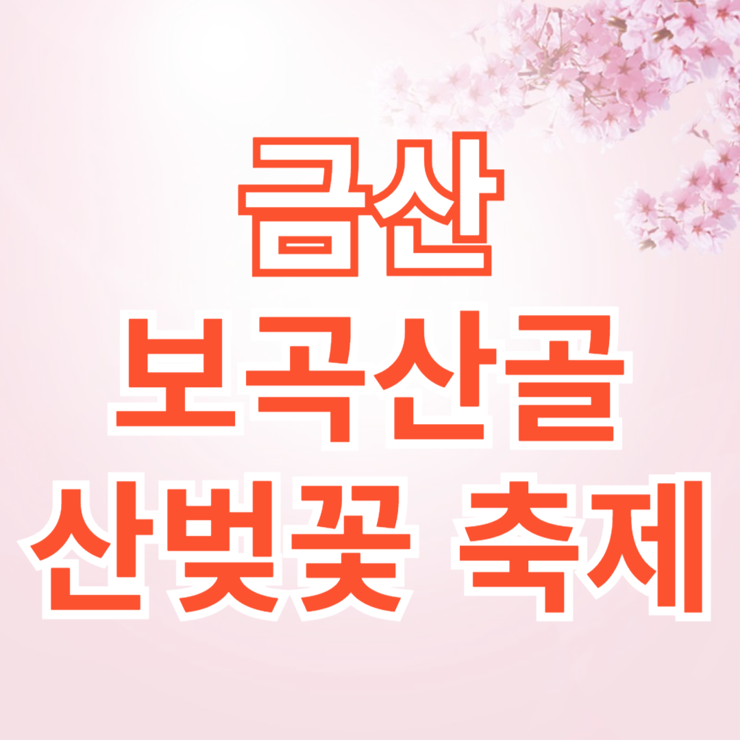 금산 보곡산골 산벚꽃 축제