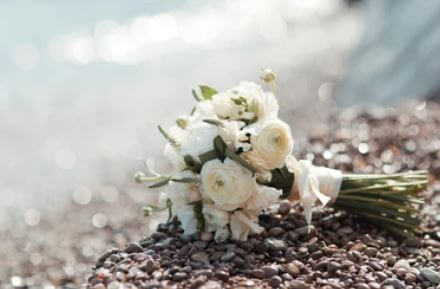 프리드라이프 상조