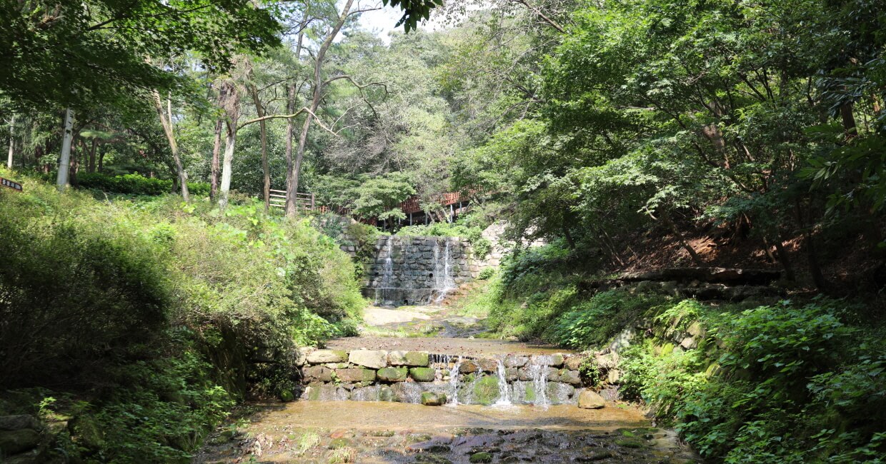 용봉산 자연휴양림