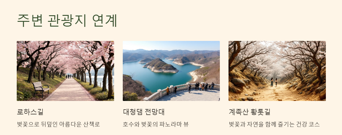 대전 대청호 벚꽃축제 일정 주차 맛집 총정리