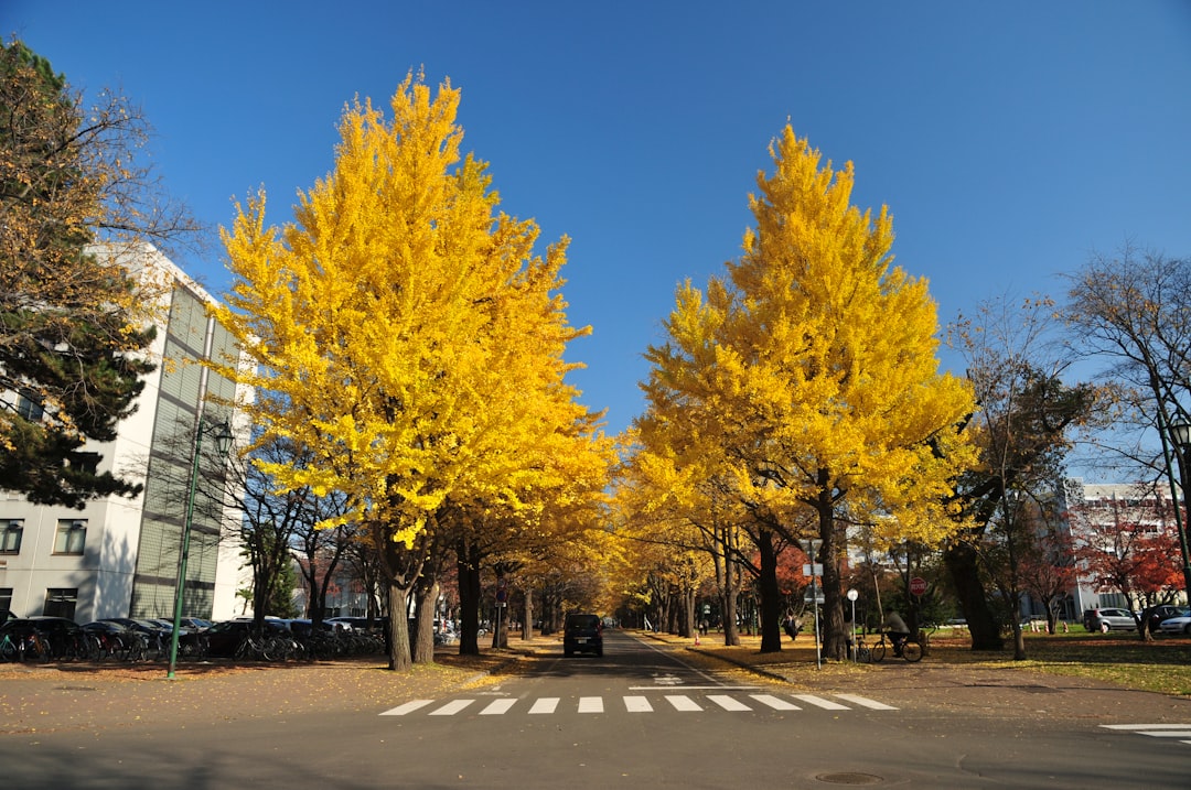 Sapporo