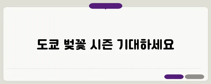 도쿄 3월 날씨를 확인하고 완벽한 벚꽃 소식을 남겨보세요!