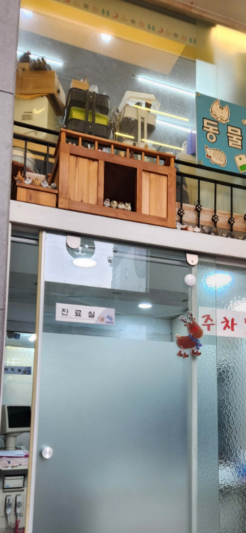 특수반려병원-파우동물병원-사진2