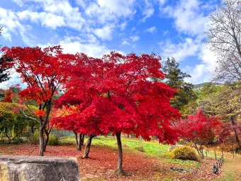 단풍구경 전국 명산 50대 이상 안전한 등산로 추천_14