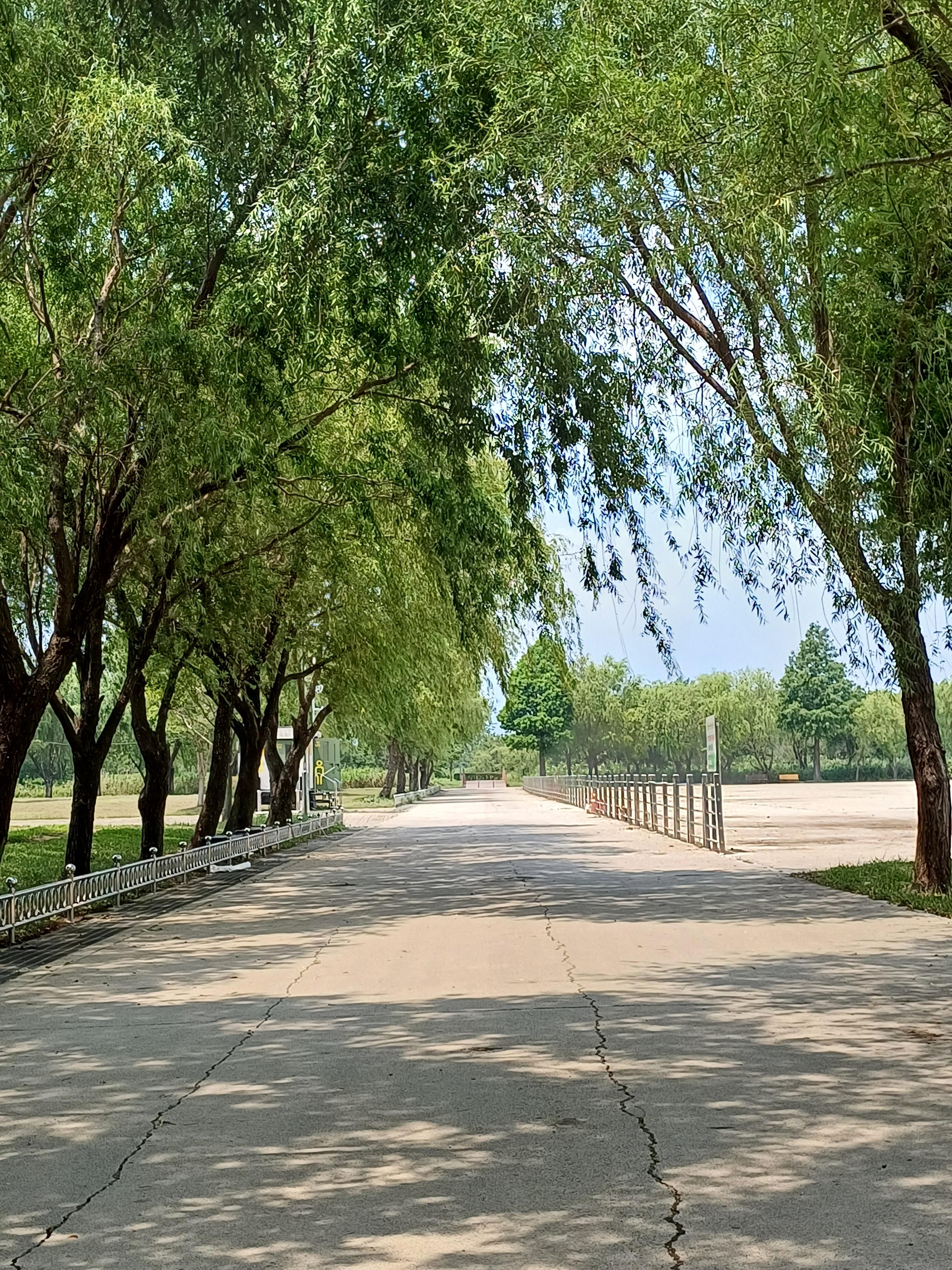Beautiful Nature at sunny day