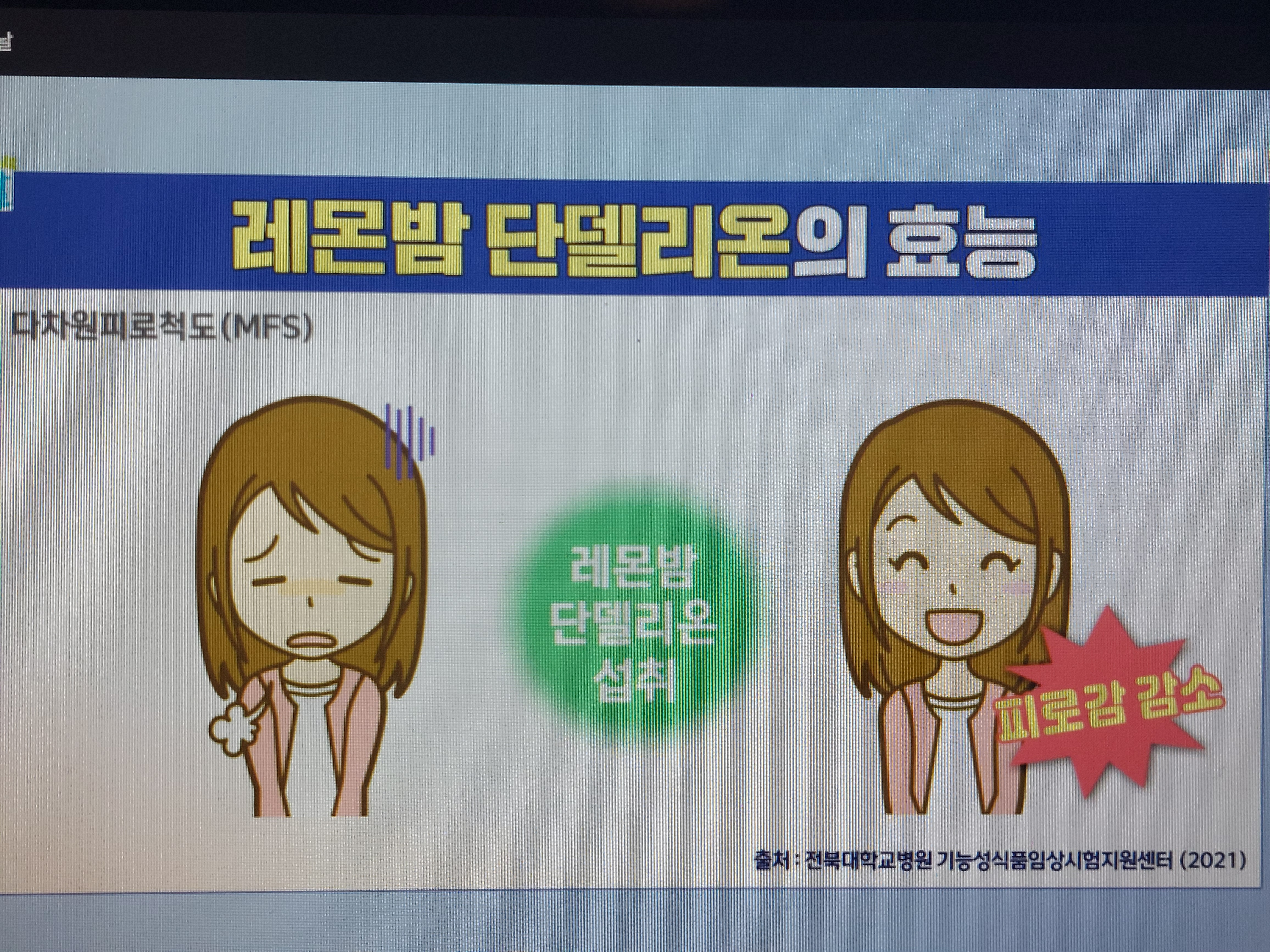 레몬밤 단델리온 효능
