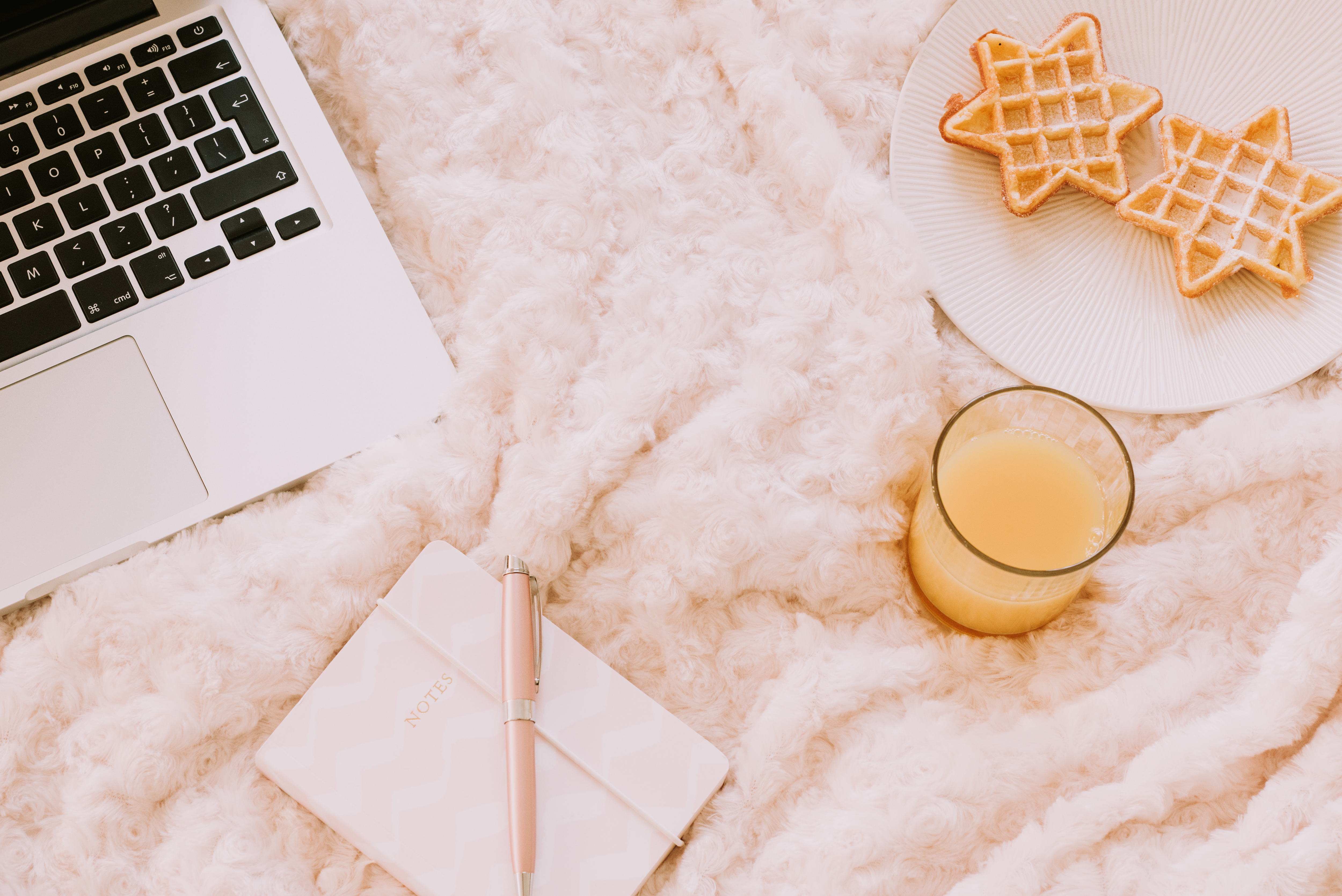 애슐랜드 대학교 사진