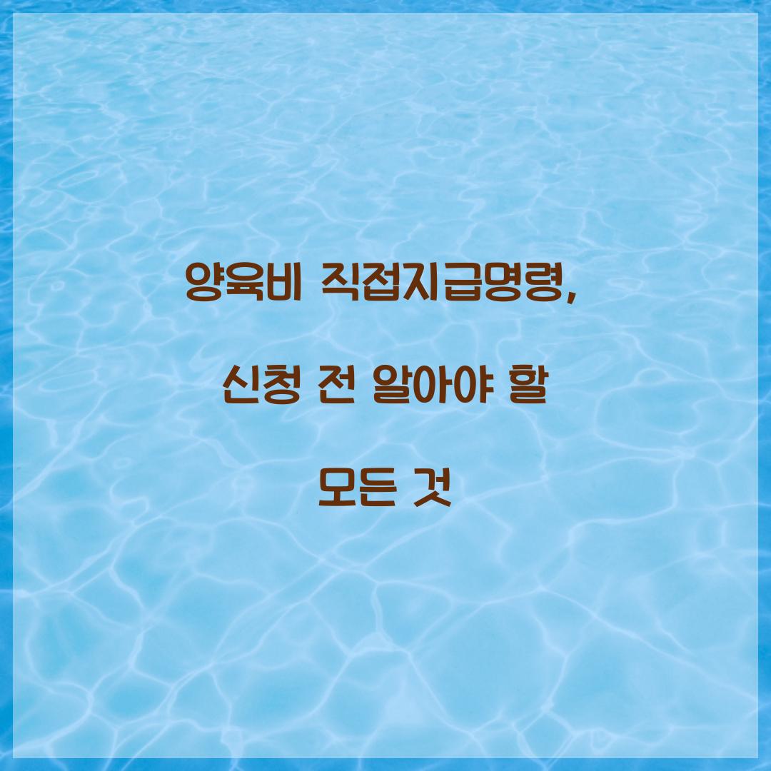 양육비 직접지급명령