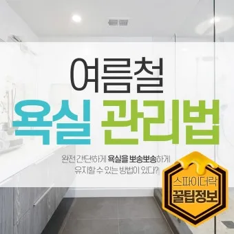 여름철 욕실 세균 곰팡이 청소 끝 관리법과 예방 팁 완벽 위생 가이드_15