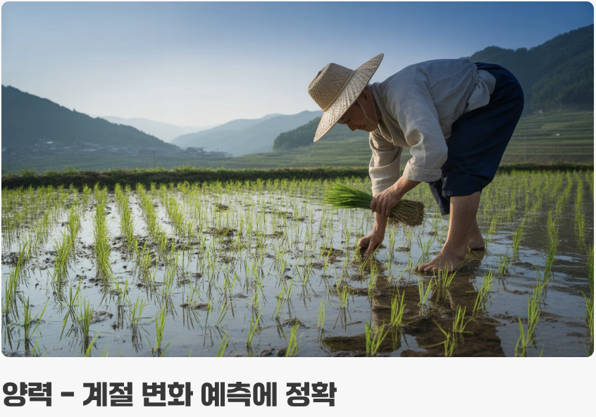 그래서&amp;#44; 누가 더 정확할까?
