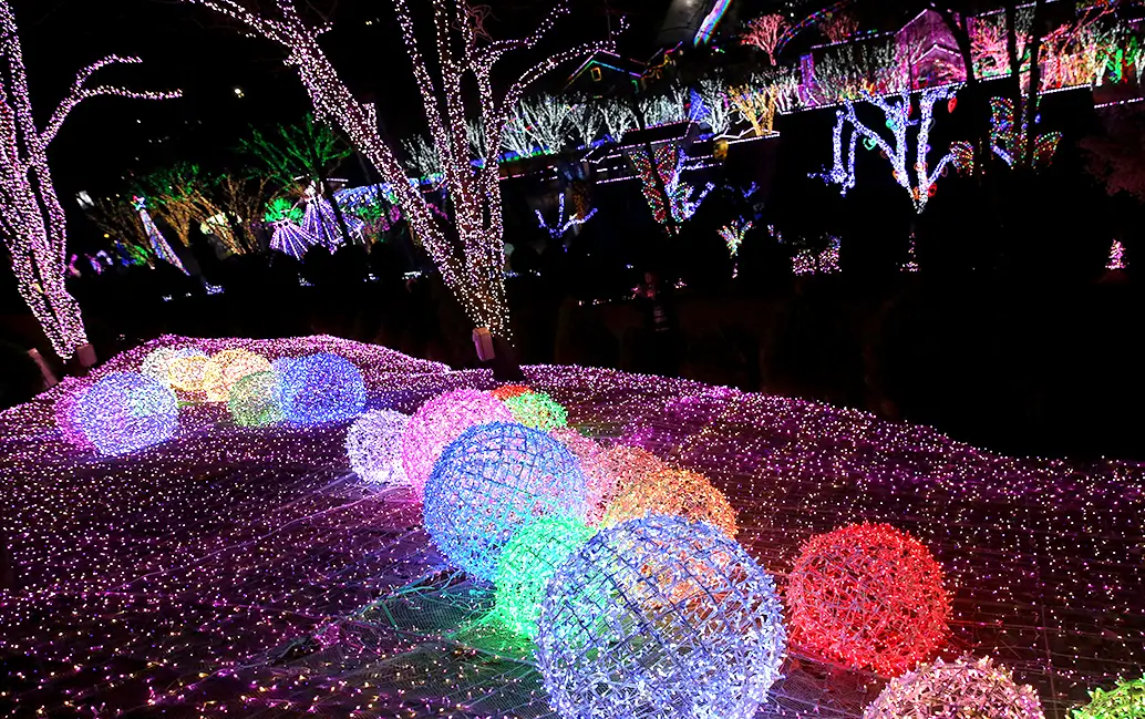 겨울 여행지 추천 청도 프로방스