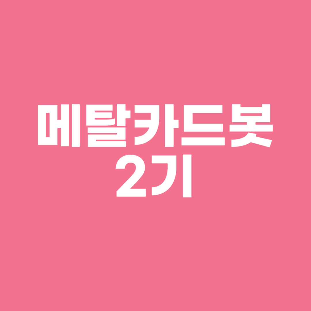 메탈카드봇 2기