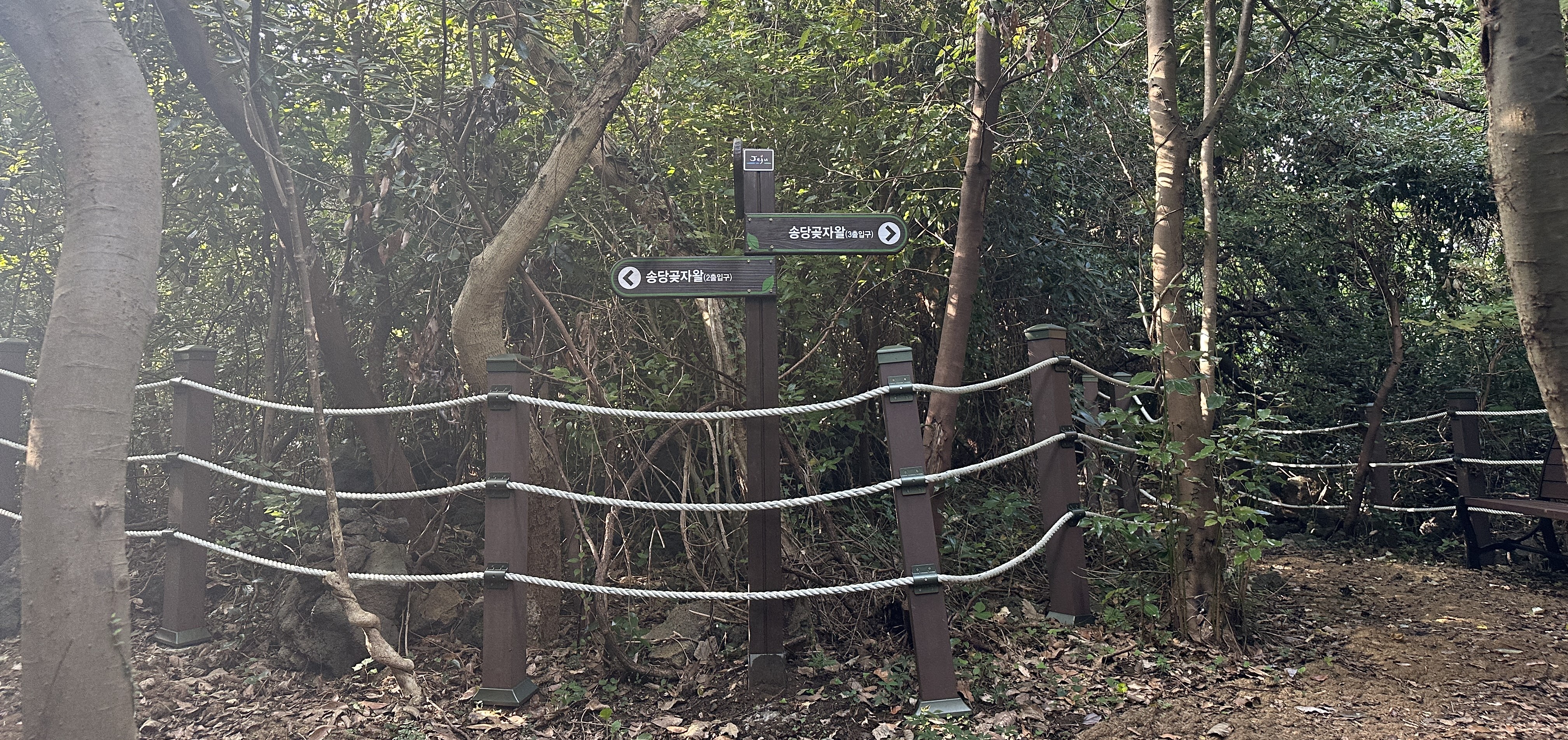 송당곶자왈 산책로