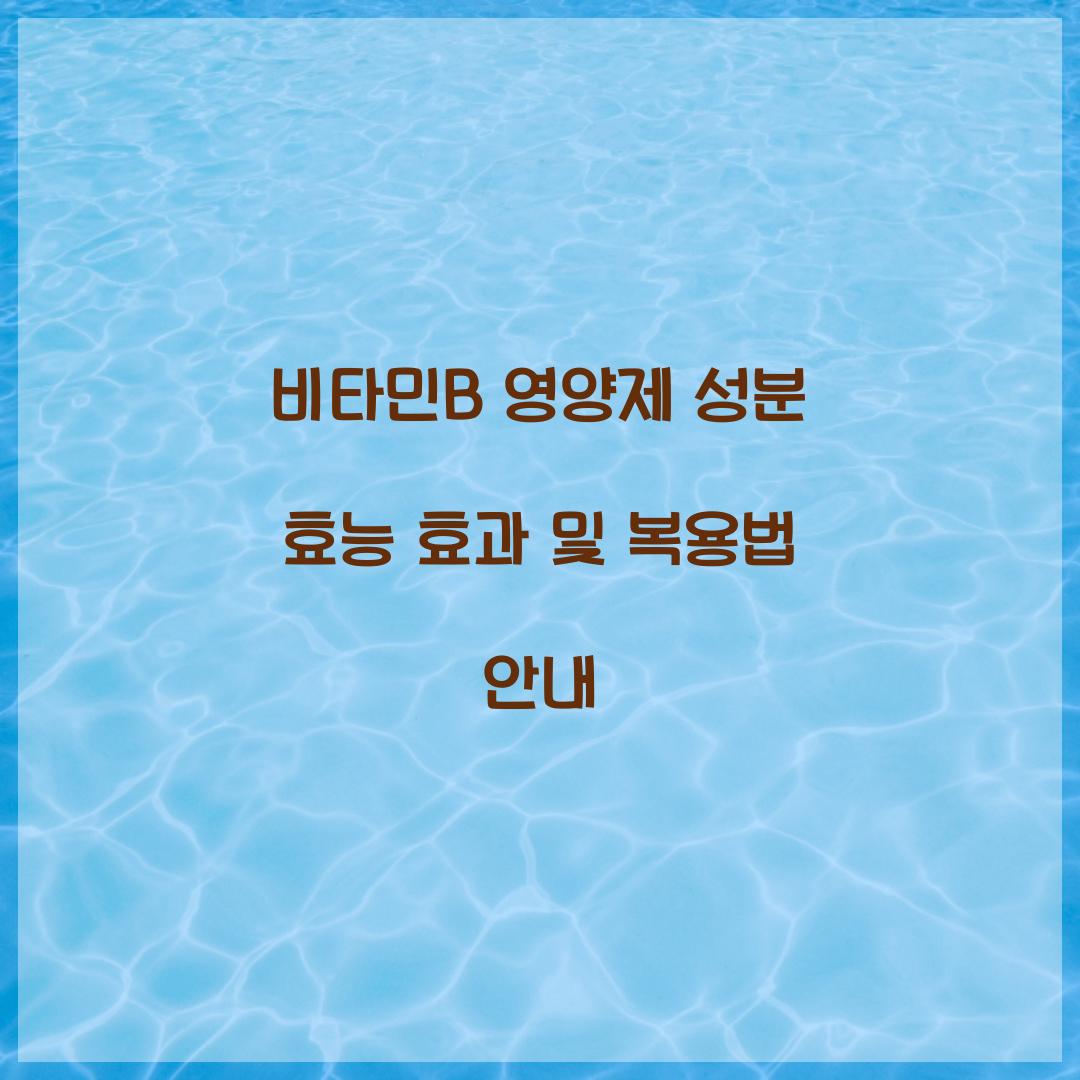 비타민B 영양제 성분 효능 효과