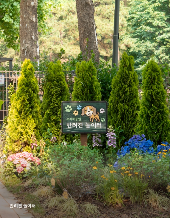 🌿 2025 서울국제정원박람회 완벽 가이드 – 기간, 입장료, 주차 정보 총정리!