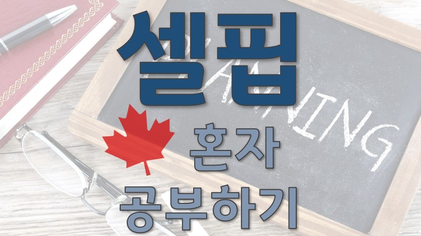 셀핍 혼자 준비하는 방법