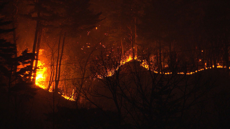 고향사랑 e음 산불기부 방법