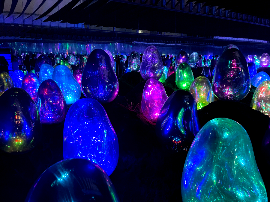 팀랩플래닛 관람 이끼 정원 속 공명하는 소우주, 고체화된 라이트 컬러