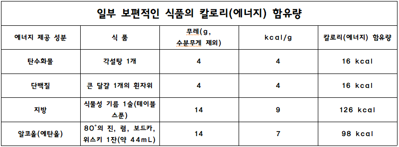 보편적인-식품의-칼로리(에너지)-함유량
