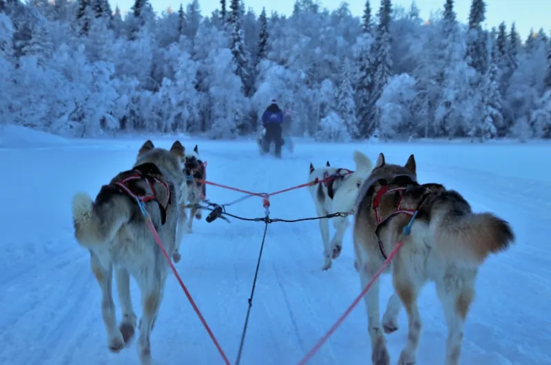 12월 크리스마스 해외여행 추천지