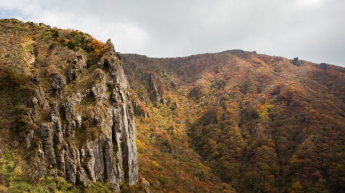 2025 한라산 단풍 절정시기 공개! 가을 초보자 코스 완벽 정리