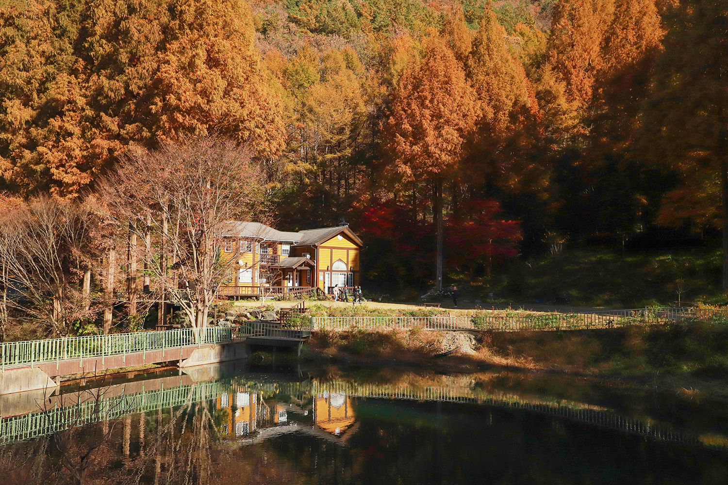 호수와 단독 건물 전경 이미지