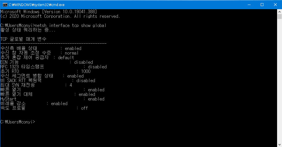 인터넷 속도가 느릴때 수정하는 TCP 파라미터