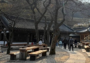 부처님오신날유명사찰