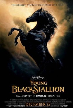 동물 말을 소재로한 최고의 영화 다시보기 추천 - 스텔리온