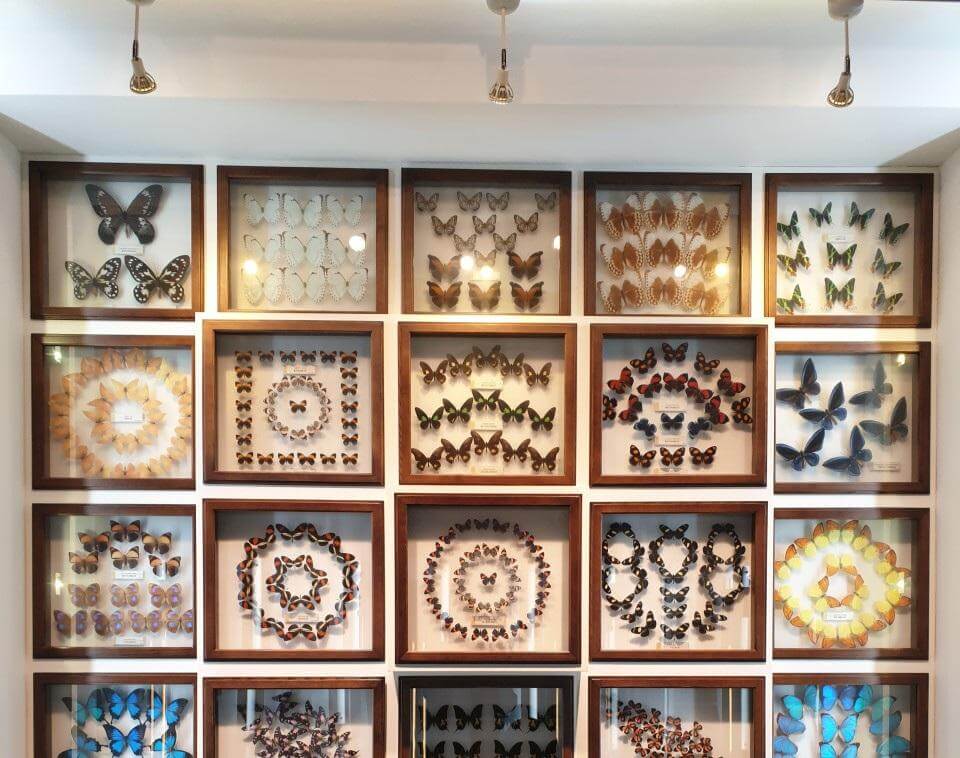 무주 가볼만한곳 베스트 10